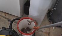 Muže vyděsil chřestýš v garáži. To ještě netušil, že jich tam je dvacet