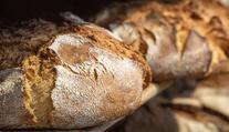 Nebude chleba, ceny poletí nahoru, varují zemědělci. Nic nehrozí, uklidňuje ekonom