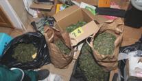 Policie našla byt plný marihuany. Byly v něm desítky rostlin a 50 gramů konopí