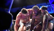 Zbil ho a pak mu nabídl pomoc. Overeem chce s Harrisem trénovat