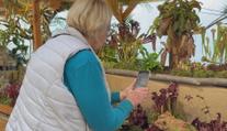 Muzeum se proměnilo v džungli. K vidění jsou masožravé rostliny z celého světa