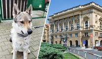 PŘEHLED: Stát prodává zajímavé domy. Získat ale můžete dokonce i psa