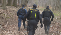 Policisté hledali ztracenou houbařku. Našli ji až díky sirénám