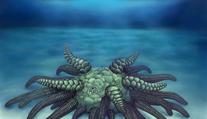 Mýtus ožil! Vědci našli legendární monstrum žijící na dně oceánu
