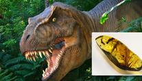 Vědci našli v jantaru dinosauří krev. Bude Jurský park realitou?
