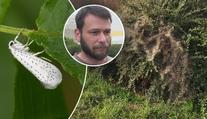 Děsivé pavučiny pokryly zahrady. Na záchranu je už pozdě, varuje expert