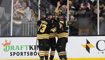 Pastrňák asistoval u vítězného gólu. Bruins nastoupili s kompletně českým útokem