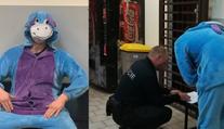 Muž řídil i přes zákaz. Policisté ho načapali v kostýmu oslíka Ijáčka!