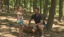 Houbaři mají žně! Kvůli plnému košíku je ale třeba si pořádně přivstat