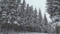 Česko zasypal sníh. Počasí už vylákalo na hory první lyžaře