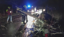 K tragédii chybělo jen málo. Na projíždějící auto spadla větev