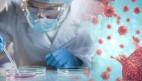 Lidé se výsledky testů na koronavirus dozvědí on-line. Nemusí čekat celé dny
