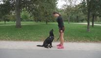 Běhání se psem se stává novým trendem. Canicross je populární na světové úrovni