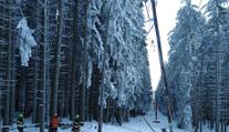 Na lanovku na Kleť u Krumlova se zřítil strom. Turista popsal děsivé chvíle
