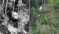 Senior na Hodonínsku bloudil v lese. Zachránili ho pomocí termovize