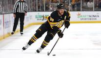 České hvězdy NHL mají po sezóně. Končí Pastrňák, Zacha i Vejmelka