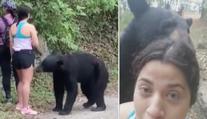 Divoký medvěd si přišel očichat ženu, ta necouvla a udělala si s ním selfie