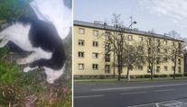 Lidé v Karviné jsou v šoku! Malé děti tam umlátily kočku k smrti