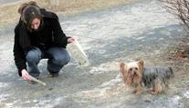 Zlín zakázal venčení psů v parcích kvůli lejnům. Pejskaři se bouří