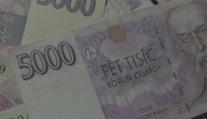 Důchodci dostanou 5000 korun. Senát schválil i zákaz klecových chovů