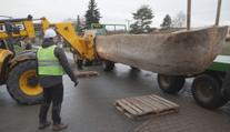 Replika starověkého člunu je ve Všestarech. Váží přes tunu a měří devět metrů