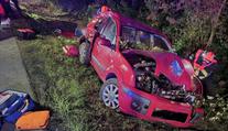 Tragická nehoda na Zlínsku: Auto plné lidí narazilo do stromu