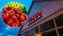 Tesco nechce české papriky, zlobí se zemědělci! Jsou shnilé, brání se řetězec