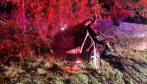 Tragická nehoda na jihu Čech. Náraz do stromu roztrhl auto vejpůl, řidič nepřežil