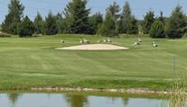 Golfové hřiště obsadili nezvaní návštěvníci. Podle hráčů jde o příjemné rozptýlení
