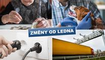 Vyšší mzdy, čipování psů i mýto. Co všechno je od Nového roku jinak?