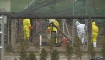 Na Písecku začala likvidace chovu bažantů. Testy potvrdily ptačí chřipku H5N1