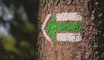 VÍKEND: V Česku máme unikátní systém značení turistických cest