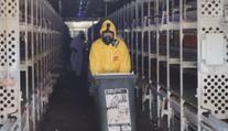 Šíření ptačí chřipky v Česku nabírá na obrátkách, ve třech krajích platí omezení