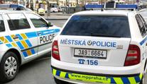 Matka volala na zfetovaného syna strážníky, jednomu dal pěstí