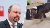 Soud Tejce odbyl. Podmínka za týrání psa je přiměřená, muž byl v těžké životní situaci