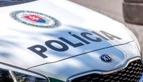 Mladíci na Slovensku srazili srnku. Místo pomoci zvířeti brutálně ublížili