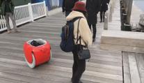 Kurýři budou zřejmě brzy bez práce, nákup ke dveřím dovezou roboti