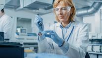 Virus Shamonda pronikl do Česka. První případ se objevil na Táborsku