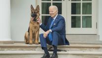 Pozor, zlý pes. Bidenovi se loučí s milovaným mazlíčkem