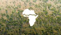 Africké země se spojily. Přes 20 z nich tvoří Velkou zelenou zeď