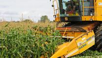 Roundup v Česku definitivně končí! Prý může způsobit rakovinu