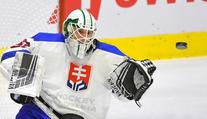 Jágrovo Kladno posiluje! Do branky postaví slovenského reprezentanta