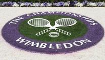 VELKÝ PŘEHLED Wimbledonu 2017: Milníky, emoce i sranda!