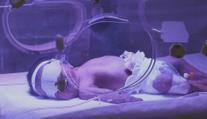 Žena přivedla na svět sedmerčata! Rodila přirozenou cestou