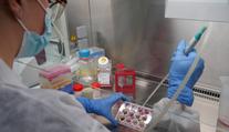 Exotické zvíře je novou nadějí pro lidstvo. Může vyřešit problém s antibiotiky