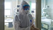Z tygra už je divoká kočka. Virus oslabil a sám zmizí, tvrdí profesor
