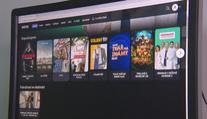 Policisty ročně zaměstnají stovky internetových pirátů. Napadli i Voyo