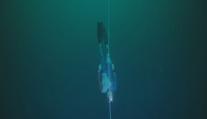 Freediver pokořil na Bahamách posedmé rekord. Potopil se do hloubky 120 metrů