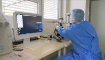 Vědci z Brna učinili průlom v medicíně. Mrtvice se může léčit efektivněji