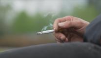 V Česku roste počet padělaných cigaret. Falešná je každá patnáctá